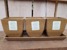 Load image into Gallery viewer, EcoForms Quadra Trio 3.5 Inch Square Rice Hull Set